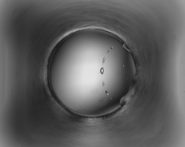 X0000089341518200706151034