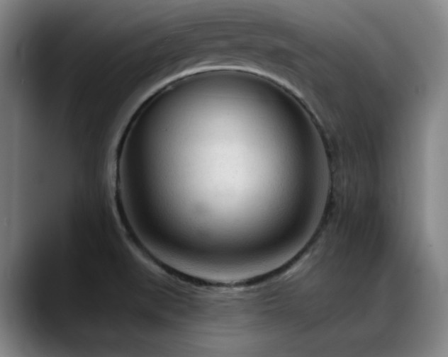 X0000089341519200706151034