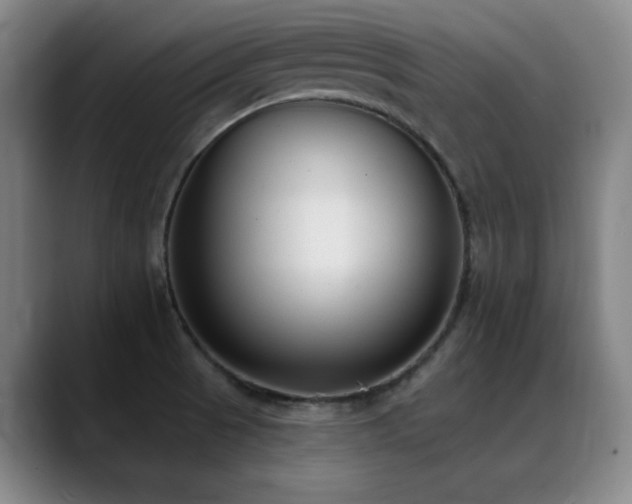 X0000089341521200706151034