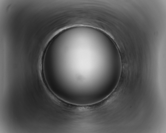 X0000089341523200706151034
