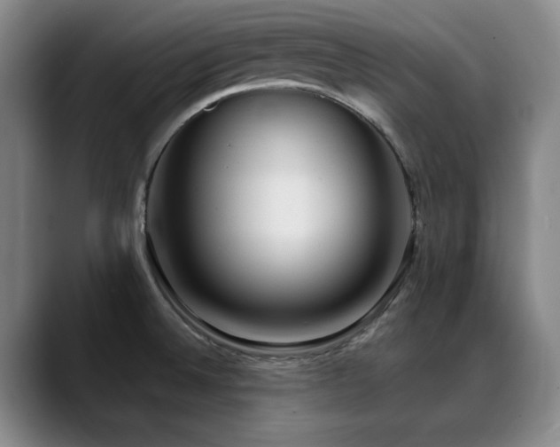 X0000089341524200706151034
