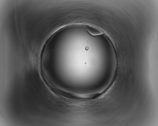 X0000089341525200706151034
