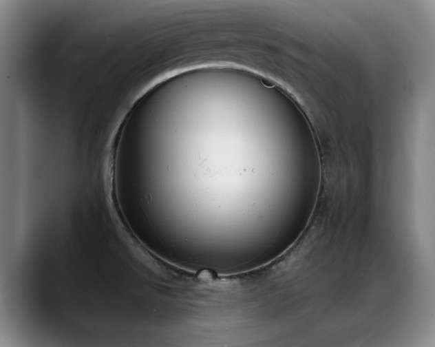 X0000089341526200706151034