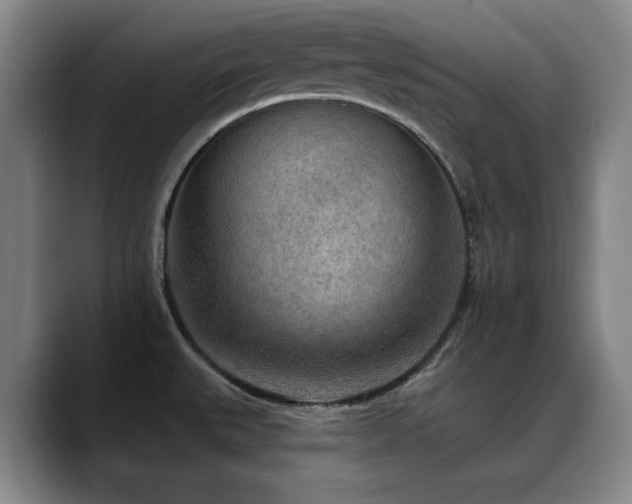 X0000089341527200706151034