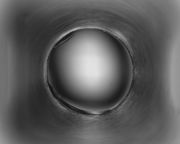 X0000089341528200706151034
