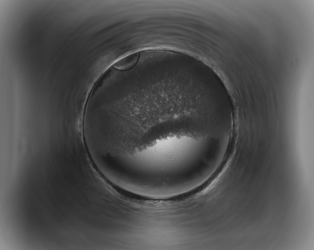 X0000089341529200706151034