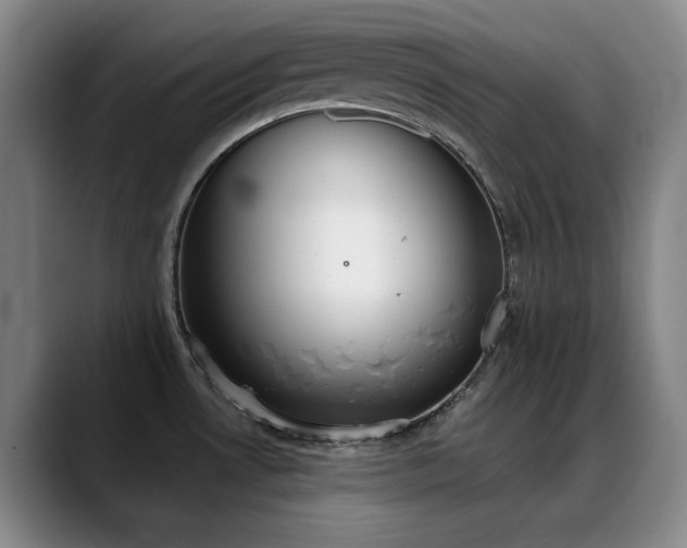 X0000089341530200706151034