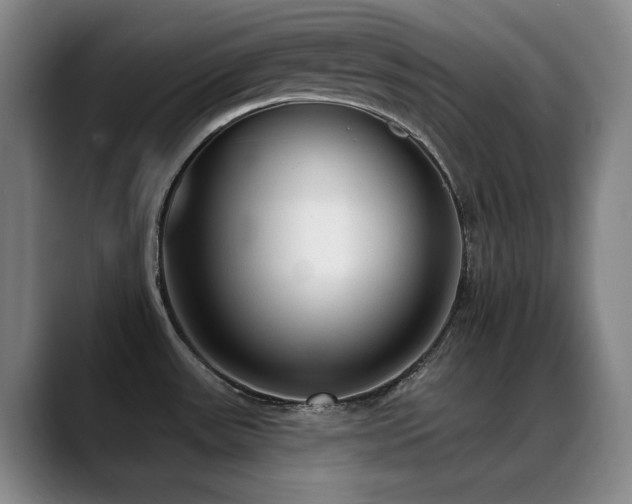 X0000089341531200706151034