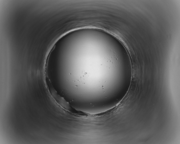 X0000089341532200706151034