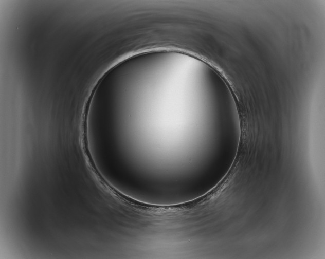 X0000089341534200706151034