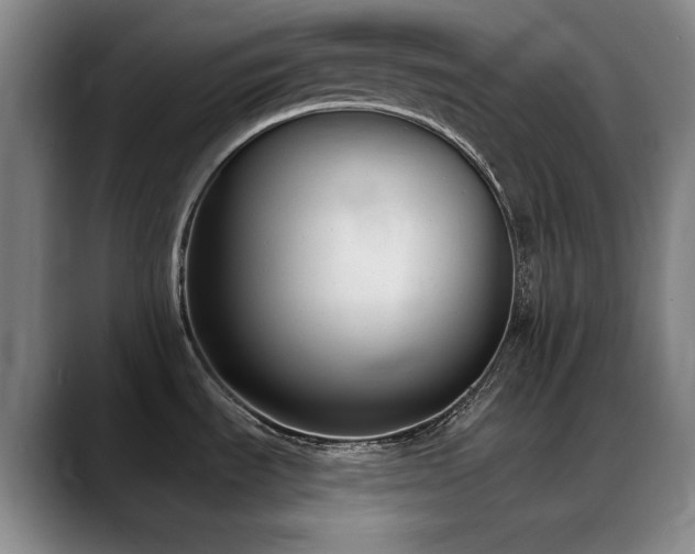 X0000089341535200706151034