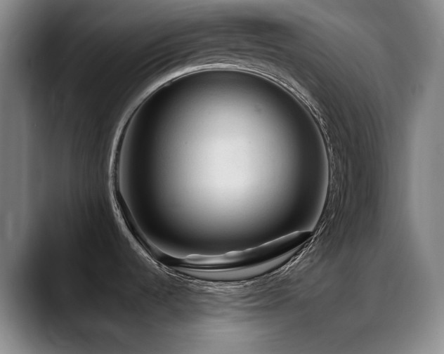 X0000089341536200706151034
