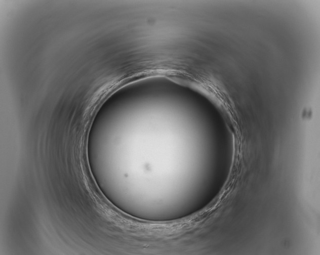 X0000089340001200706221127
