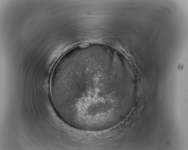 X0000089340002200706221127
