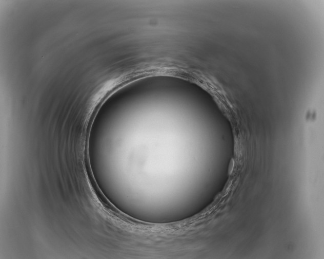 X0000089340003200706221127