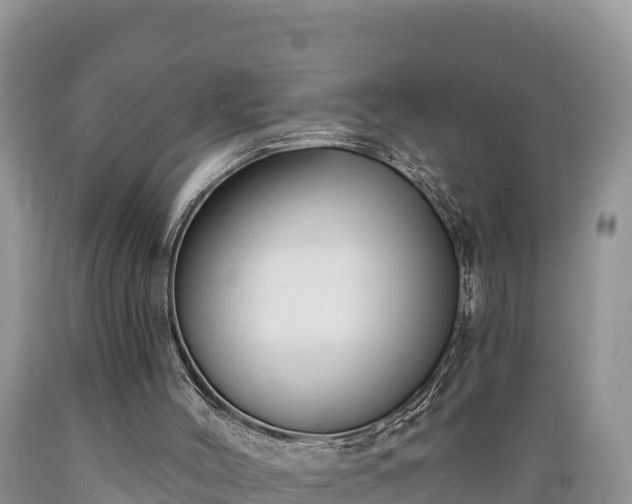 X0000089340004200706221127