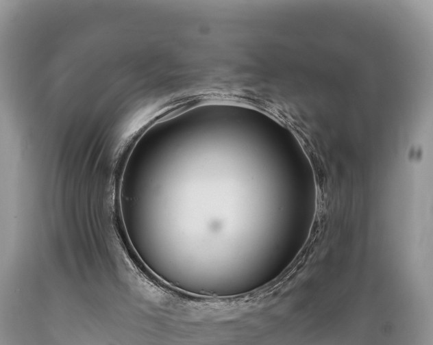 X0000089340005200706221127