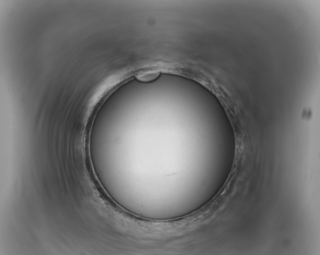 X0000089340006200706221127