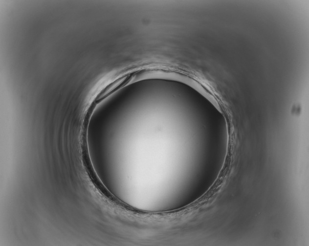 X0000089340007200706221127