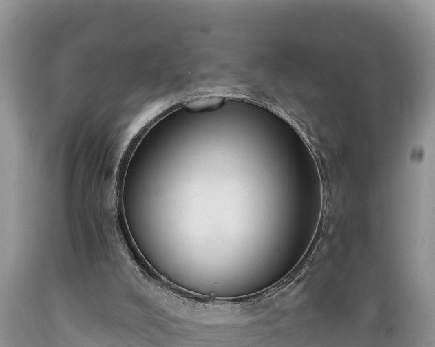 X0000089340008200706221127