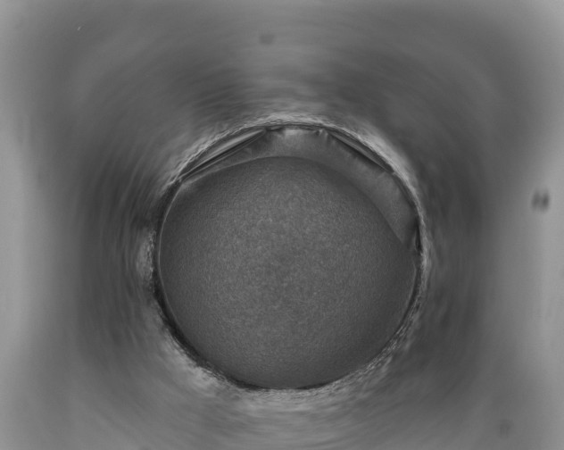 X0000089340009200706221127