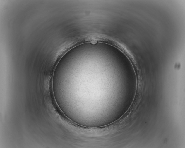 X0000089340010200706221127