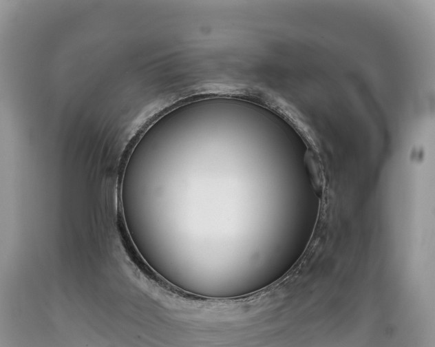 X0000089340011200706221127