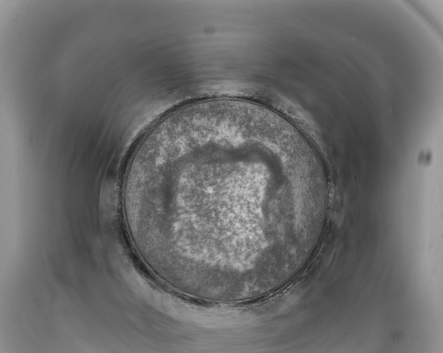 X0000089340012200706221127