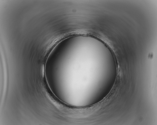 X0000089340013200706221127
