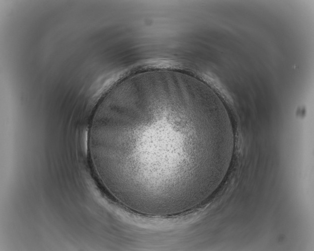 X0000089340014200706221127