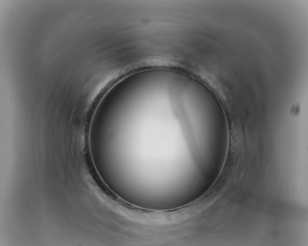 X0000089340015200706221127