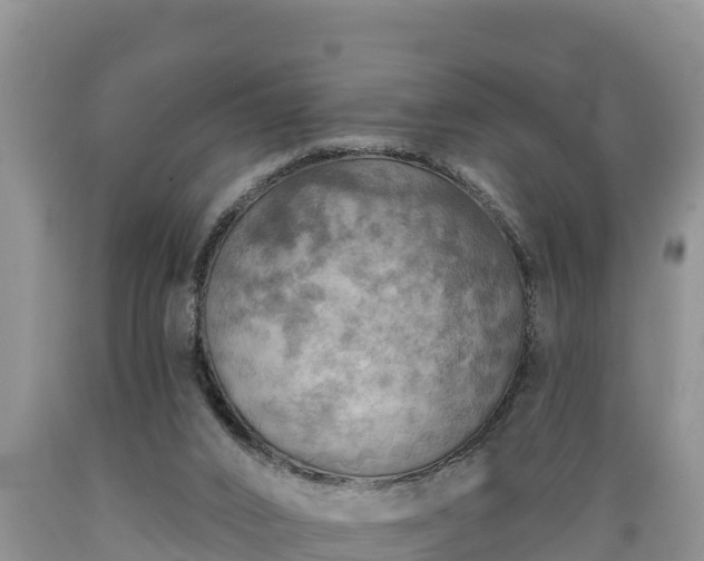 X0000089340016200706221127