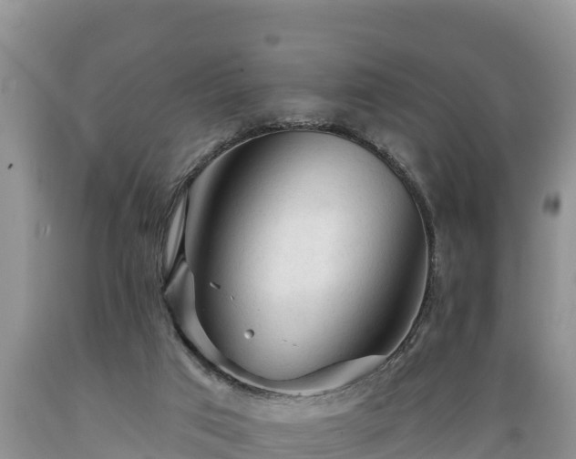X0000089340017200706221127