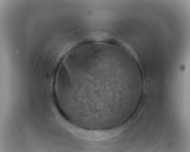 X0000089340018200706221127