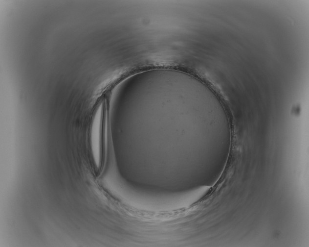 X0000089340019200706221127