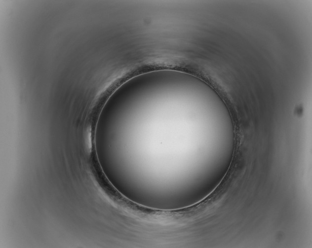 X0000089340020200706221127