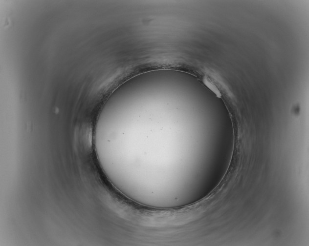 X0000089340021200706221127