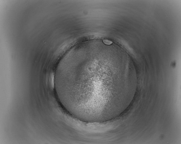 X0000089340022200706221127