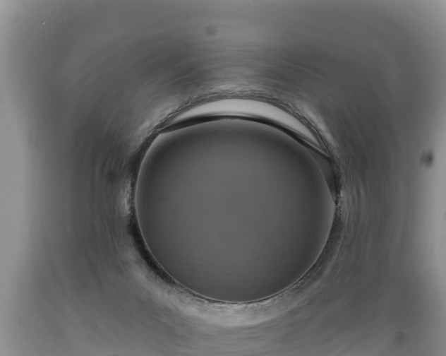 X0000089340023200706221127