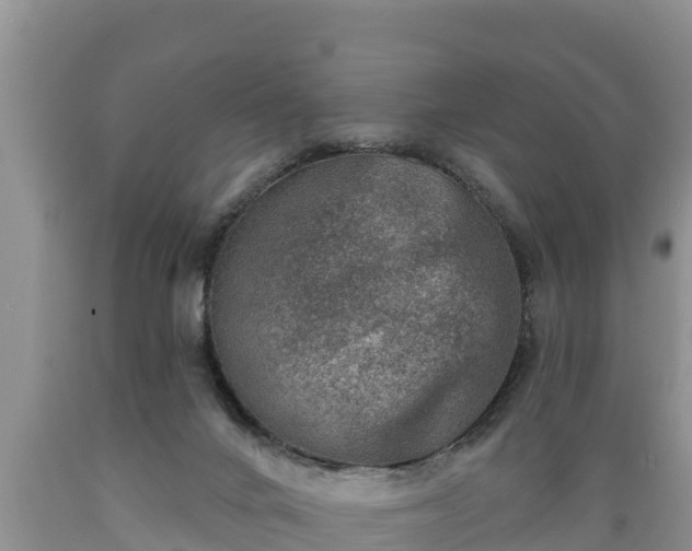 X0000089340024200706221127