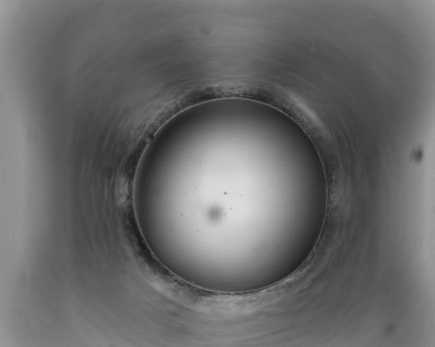 X0000089340025200706221127