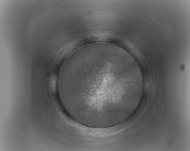 X0000089340026200706221127