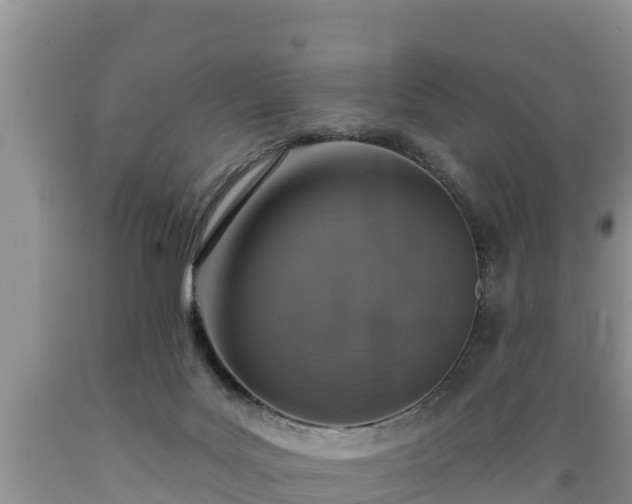 X0000089340027200706221127