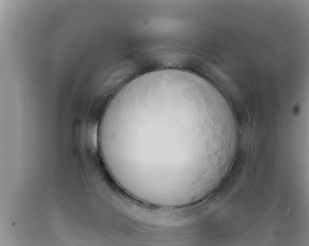 X0000089340028200706221127