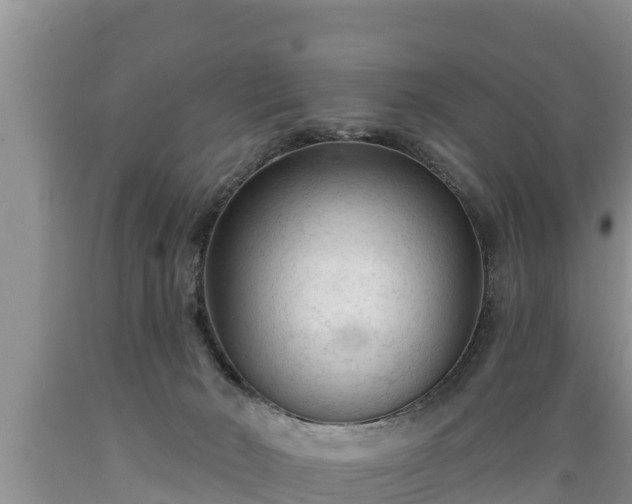 X0000089340030200706221127