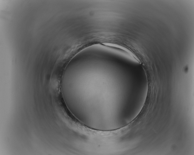 X0000089340031200706221127