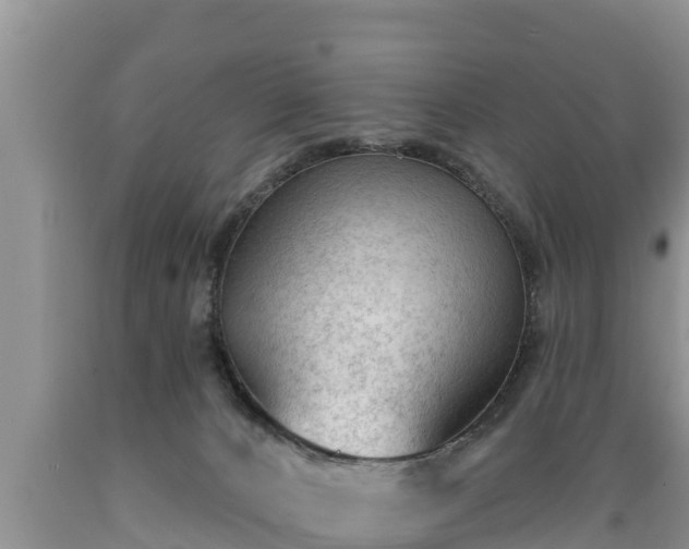 X0000089340032200706221127