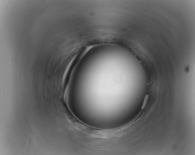 X0000089340033200706221127