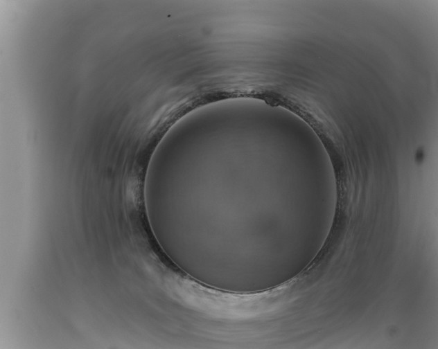 X0000089340035200706221127