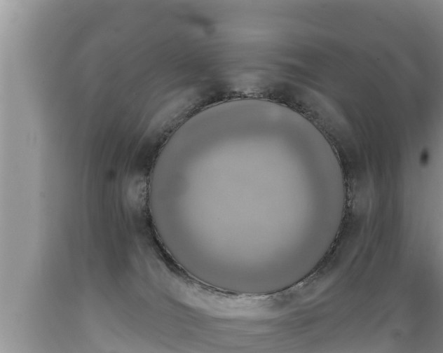 X0000089340036200706221127